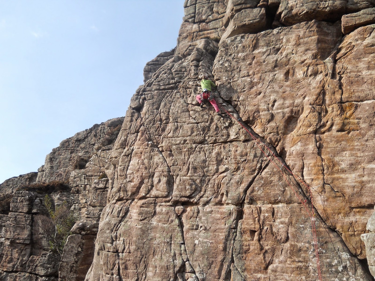 Tess Fryer on Unleash the Beast